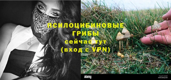 СК Беломорск